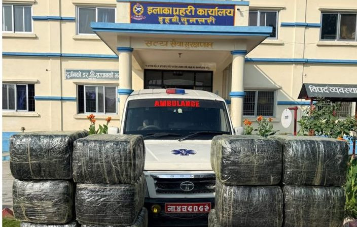 सुनसरीमा एम्बुलेन्सबाट ५७४ किलोभन्दा बढी गाँजा बरामद